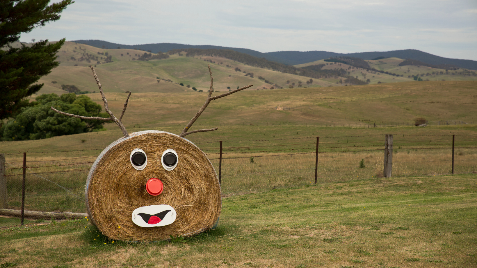 Merry Christmas from all the Team at RVGO.  We will be closed from 24/12/2025 and re-open on 05/01/2026.  Safe travels and happy adventuring!